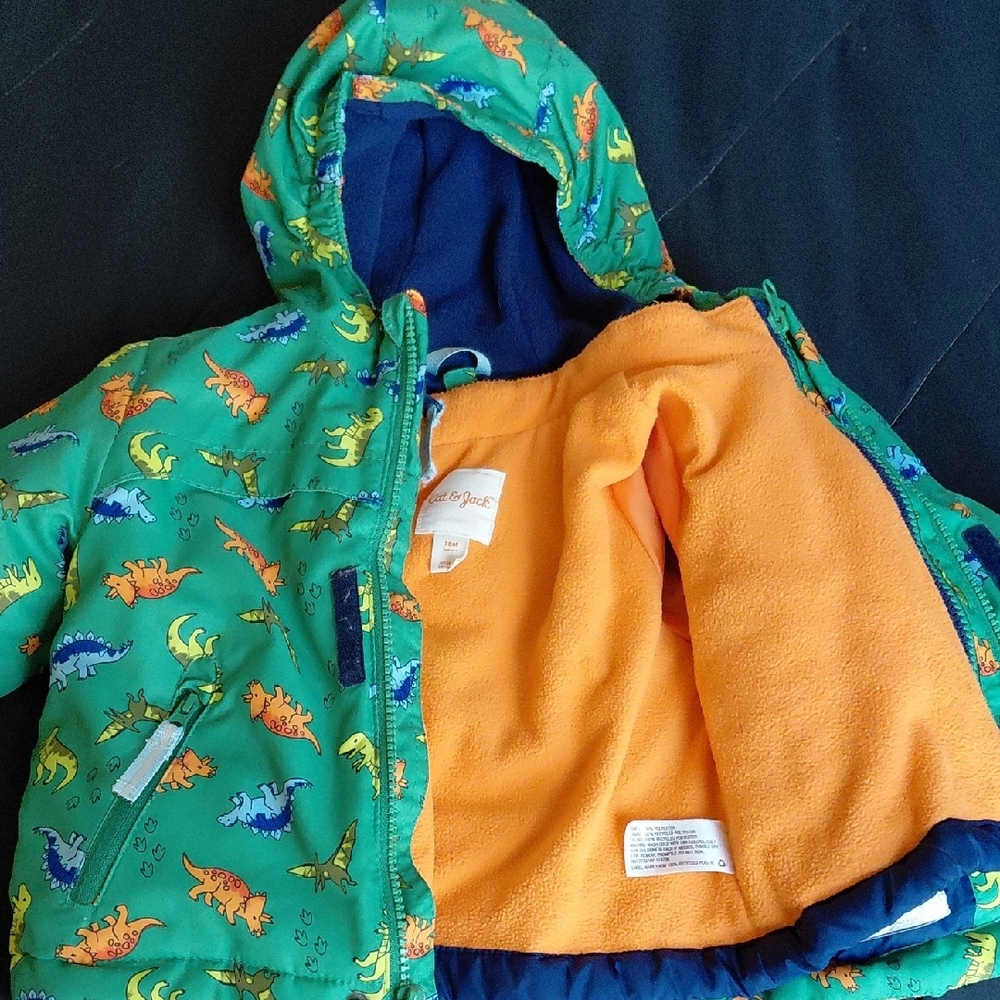 Green Dinosaur Print Hooded Jacket - Picture 3 of 6